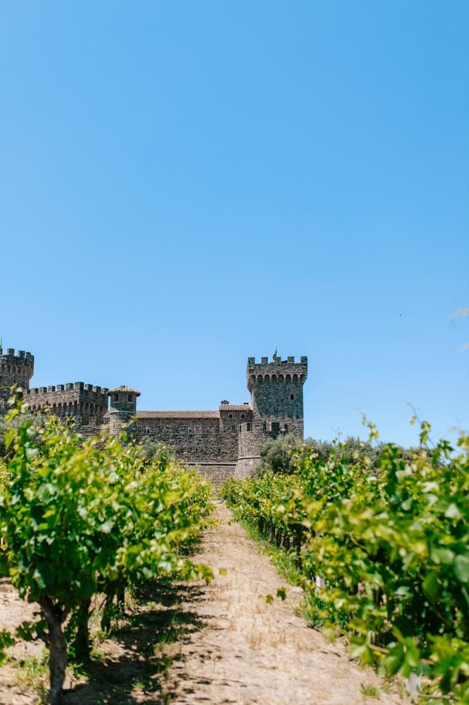 Napa Valley Vineyard Estate illustrative estate imagery