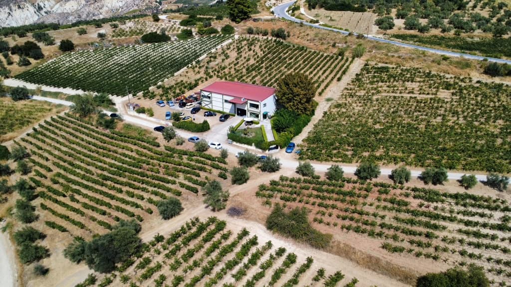 Mediterranean cultivated landscape representing Tevuah Reserve estates