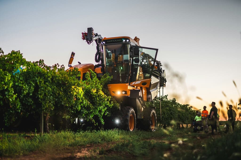 Inside a modern vineyard harvest