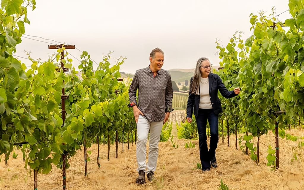 Vineyard estate representing the Tevuah Reserve investment philosophy