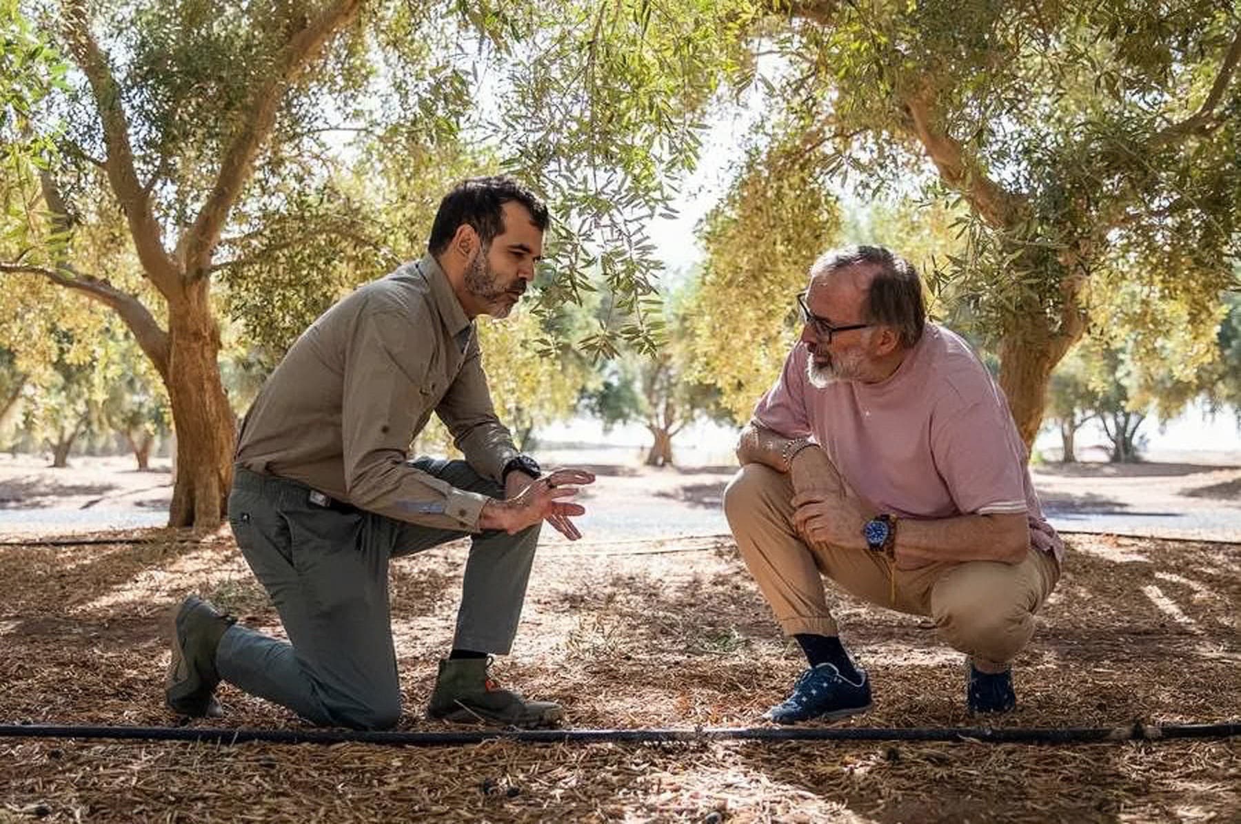 Cultivated land representing long-term stewardship