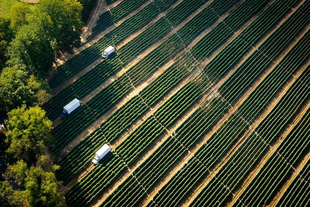 Drone monitoring agricultural land