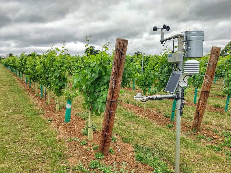 Agricultural field monitoring representing Tevuah Reserve reporting technology