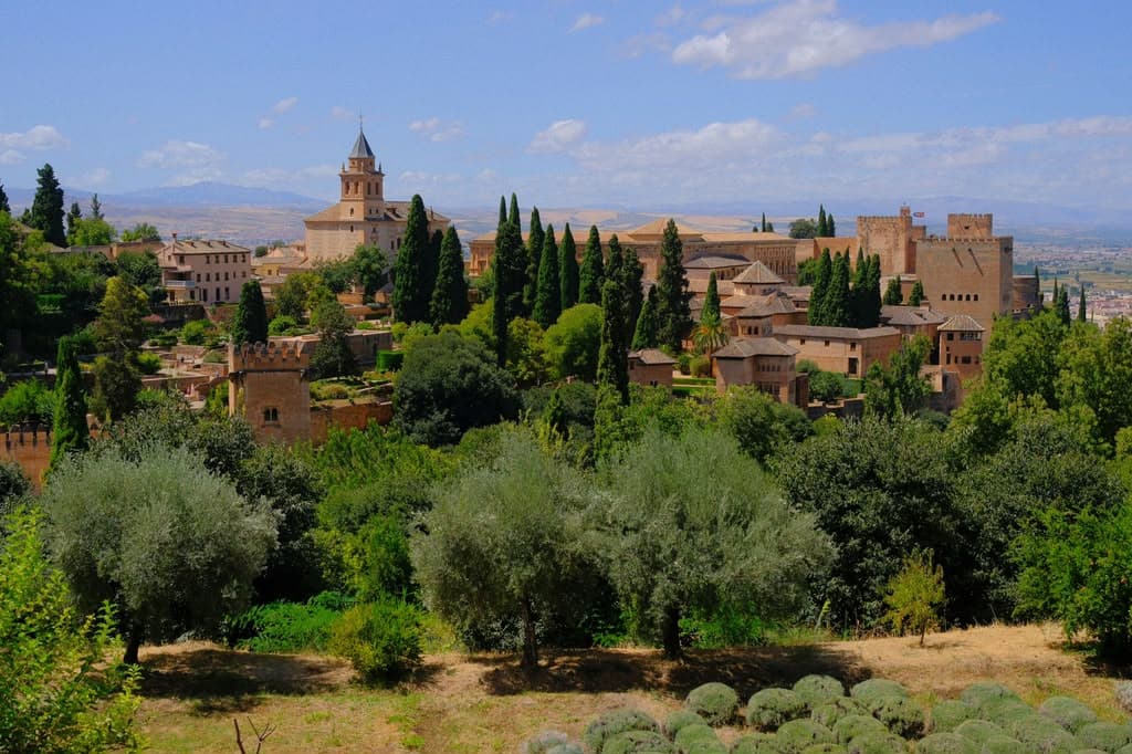 Andalusia Olive Estate illustrative estate imagery