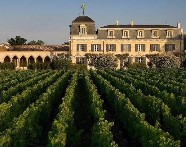 Bordeaux Grand Cru Vineyard Estate illustrative estate imagery