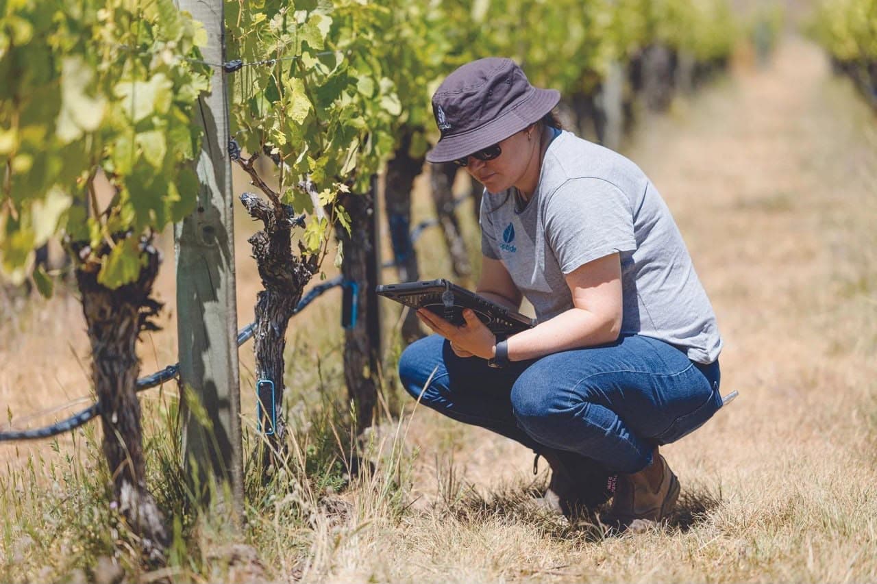 Precision agriculture representing the Tevuah Reserve AgTech platform