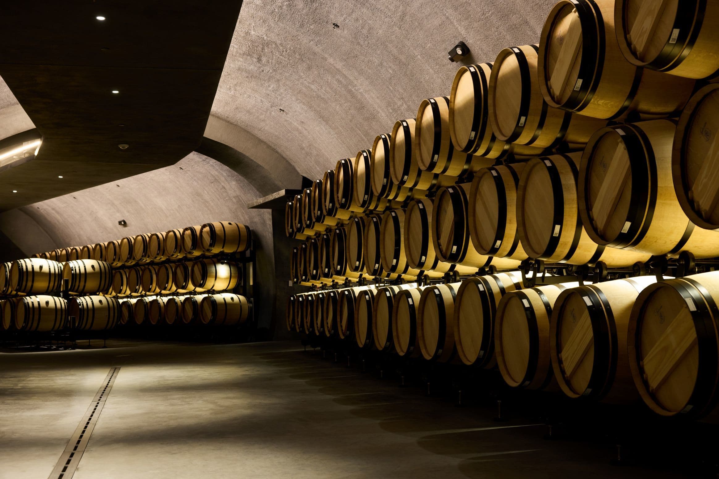 Fine-wine cellar representing the Tevuah Reserve collection experience